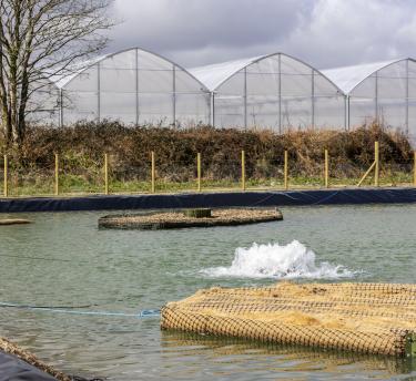 Large pond of rainwater with large nursery in the background